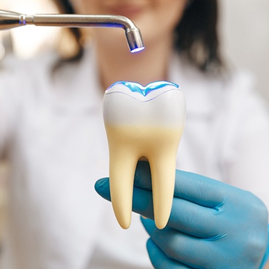 Dentist holding large model tooth demonstrating tooth-colored filling